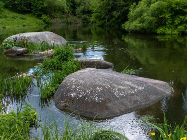 Nehrin ortasında çimen ve çiçeklerle çevrili büyük bir kaya..