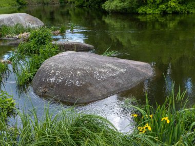 Nehrin ortasında büyük bir kaya. Uzun otlar ve çiçeklerle çevrili..