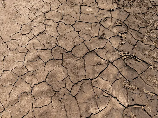 Kuş uçmaz kervan geçmez bir yerde..