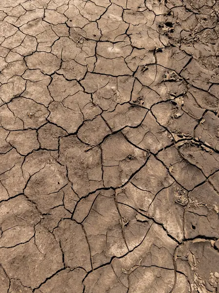 Kuş uçmaz kervan geçmez bir yerde..