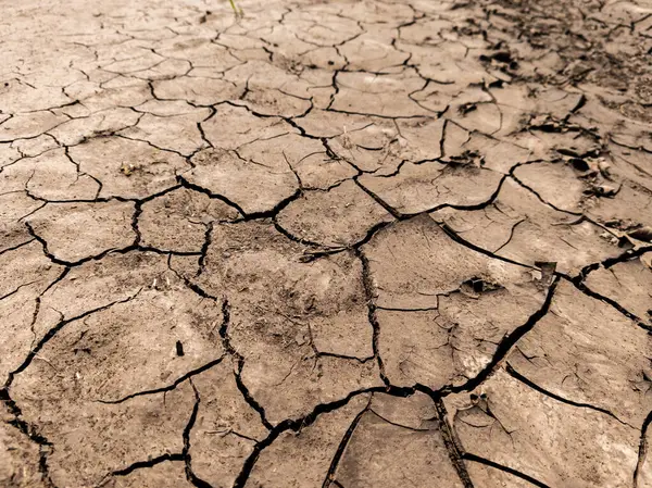 Çölün ortasında kurumuş bir toprak..