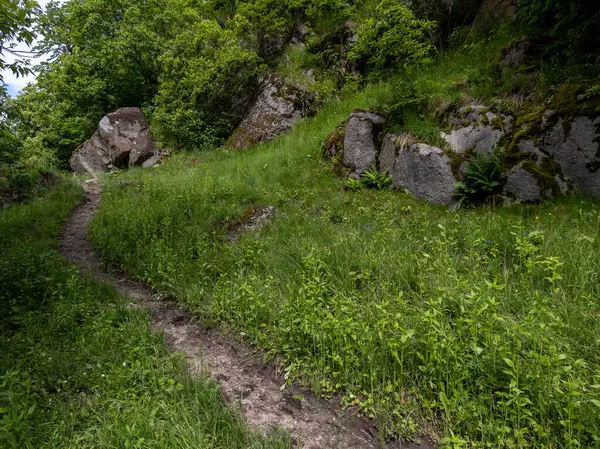 Çimenli bir tarlanın ortasında kayalık bir yamacın yanında toprak bir patika..