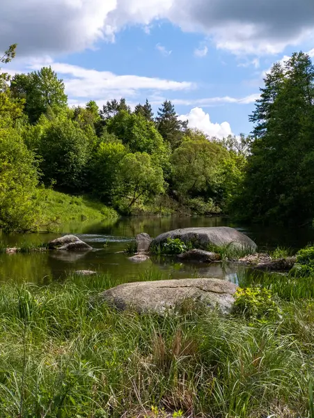 Yeşillik bir ormanın ortasında küçük bir gölet.
