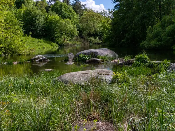 Yeşillik bir ormanın ortasında küçük bir nehir..