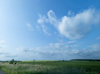 Yeşil çimen ve tarlanın ortasında bir yol..