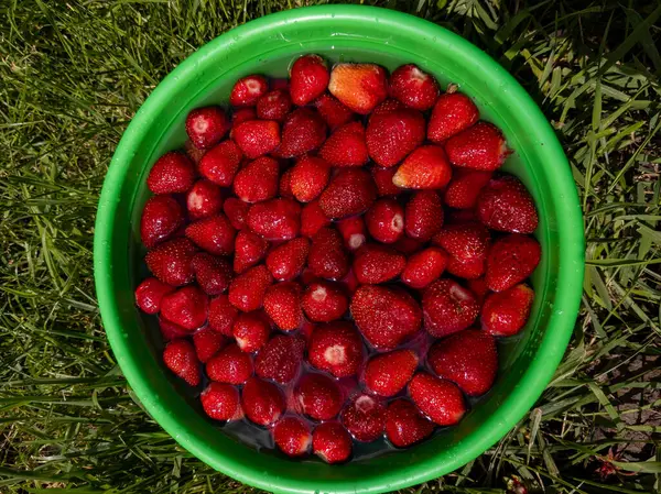 Çimlerin üzerinde duran çilek dolu yeşil bir kase..
