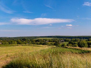 Mavi gökyüzü ve arka planda bulutlar olan çimenli bir alan..