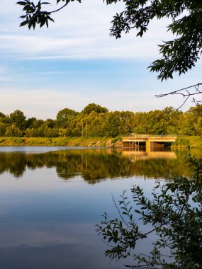 Ağaçlarla çevrili bir su kütlesinin üzerindeki köprü..