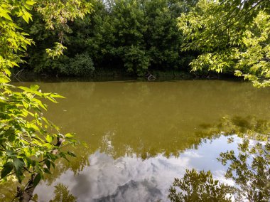 Ağaçlar ve bulutlarla çevrili bir su kütlesi..