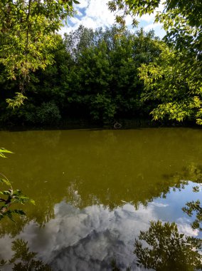 Ağaçlarla çevrili ormanlık bir alanın ortasında bir gölet..