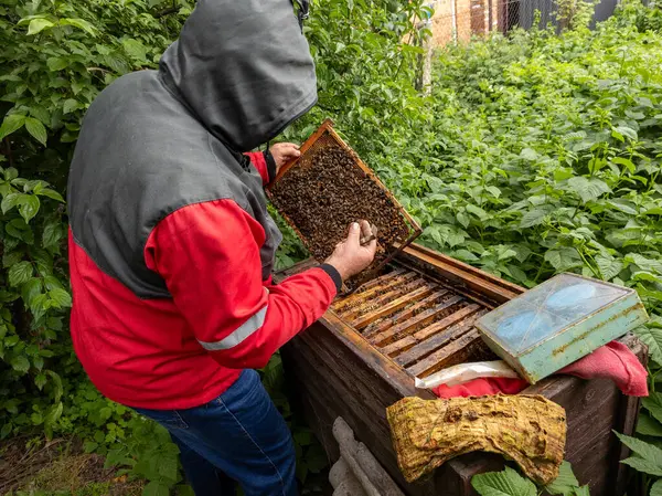 Kapüşonlu bir adam arı kovanını tutuyor..