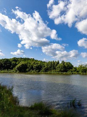 Ağaçlar ve bulutlarla çevrili bir su kütlesi.