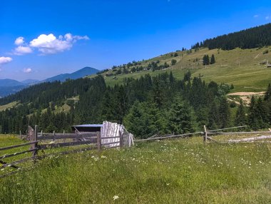 Ortası ahşap çitlerle kaplı tepeli bir tarla..