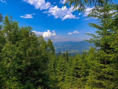 Dağın tepesinden bir dağ manzarası.