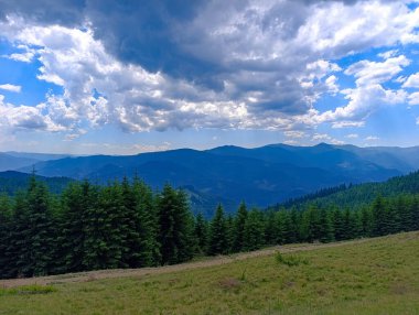 Arka planda ağaçlar ve dağlar olan otlak bir arazi..