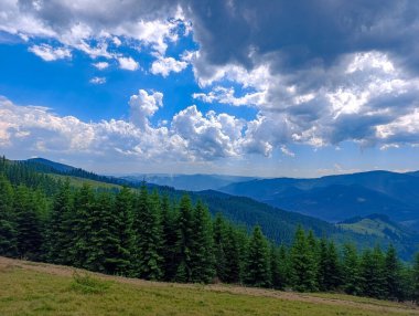 Arka planda ağaçlar ve dağlar olan otlak bir yamaç..