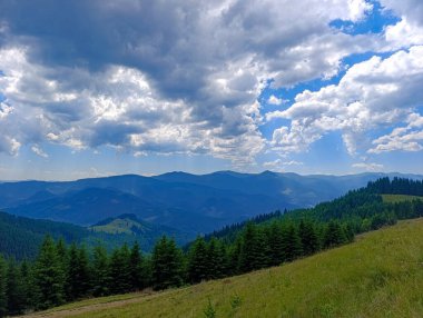 Arka planda ağaçlar ve dağlar olan otlak bir yamaç..