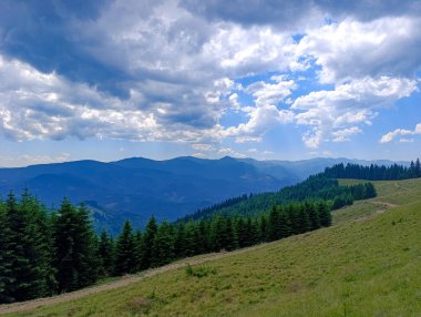Arka planda ağaçlar ve dağlar olan otlak bir yamaç..