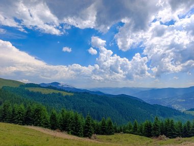 Arka planda ağaçlar ve dağlar olan otlak bir yamaç..