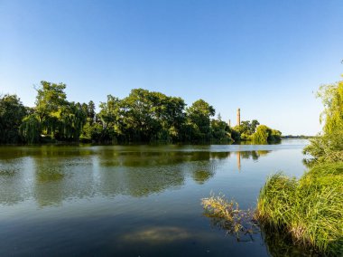 Ağaçlar ve otlarla çevrili bir su kütlesi..