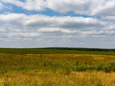 Gökyüzünde birkaç bulut olan çimenli bir tarla..