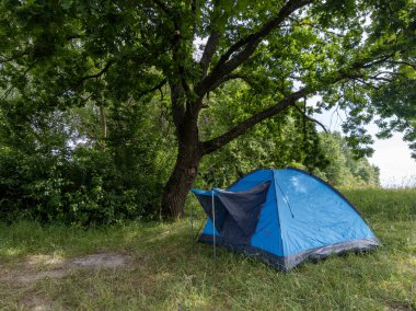 Çimenli bir tarlada, ağacın altına mavi bir çadır kurulur..