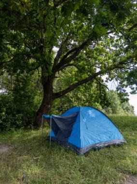 Çimenli bir tarlada, ağacın altına mavi bir çadır kurulur..