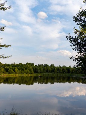 Ağaçlarla çevrili bir göldeki kanoda bir insan..