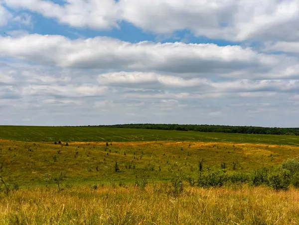 Gökyüzünde birkaç bulut olan çimenli bir tarla..