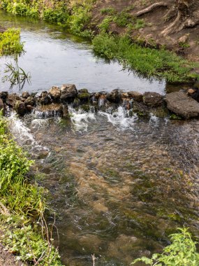 Küçük bir dere yemyeşil bir ormanda akıyor..