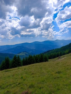 Arka planda ağaçlar ve dağlar olan otlak bir arazi..