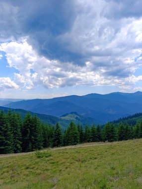 Arka planda ağaçlar ve dağlar olan otlak bir arazi..