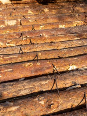 Üst üste istiflenmiş kütükler yığını.