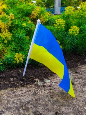 Küçük mavi ve sarı bir bayrak kayanın üstünde duruyor..