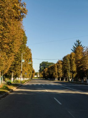 A city street lined with trees in the fall.