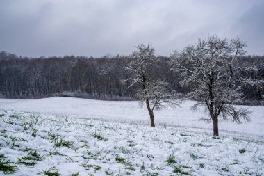 Tepeler, kış manzarası. Yüksek kalite fotoğraf