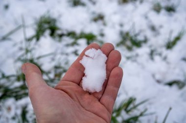 Kışın beyaz karı tutan insan eli. Yüksek kalite fotoğraf