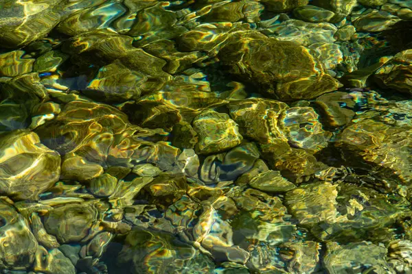 Sığ sularda güzel bir dalgalanma. Yüksek kalite fotoğraf