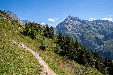 Huzurlu dağların arasında uzanan sakin bir toprak patika. Yol boyunca uzanan yemyeşil ağaçlar ve arka planda yükselen görkemli zirveler.