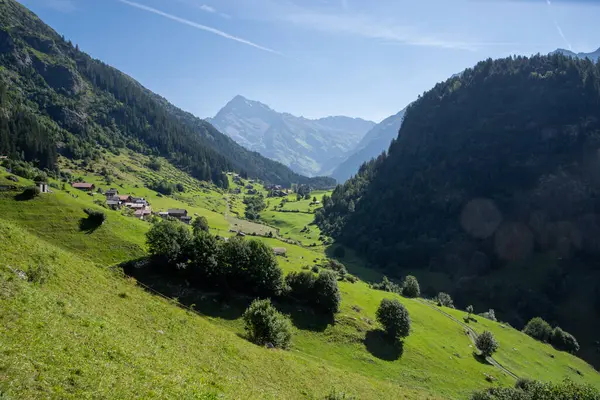 Görkemli dağlar ve canlı ağaçlarla çevrili görkemli bir vadi, güneşli ve güzel bir günde güneşin sıcaklığının tadını çıkarır.