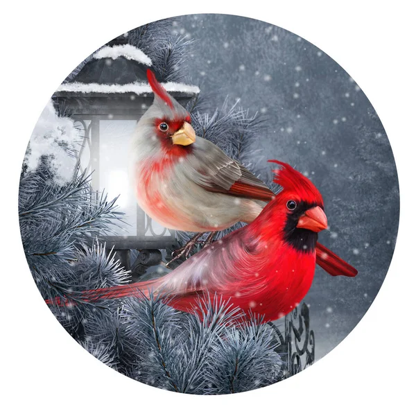 Natale Capodanno Sfondo Festivo Due Uccelli Cardinali Rossi Siedono Ramo — Foto Stock