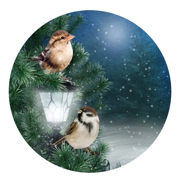 Christmas New Year Festive Background Two Sparrow Birds Sitting Spruce — Stock Photo, Image