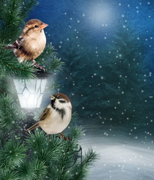 クリスマス 新年のお祝いの背景 公園の輝く提灯の近くの雪の中のトウヒの枝に座っている2羽のスズメの鳥 3Dレンダリング — ストック写真