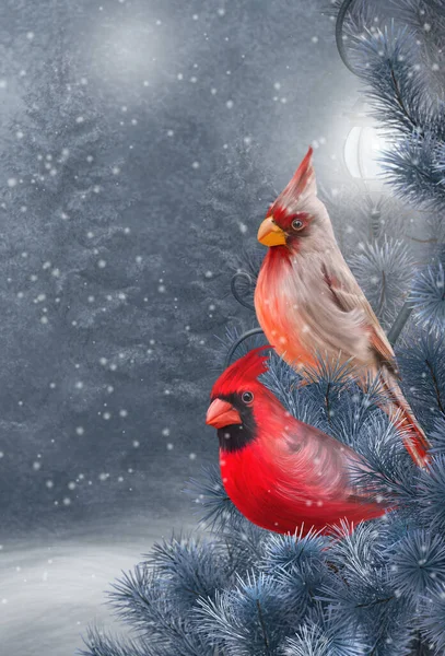 Natal Ano Novo Fundo Festivo Dois Pássaros Cardeais Vermelhos Sentam — Fotografia de Stock