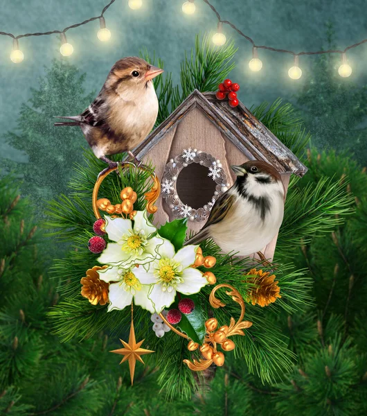Noel Yeni Yıl Tatili Geçmişi Kuş Evinin Yanında Iki Serçe — Stok fotoğraf