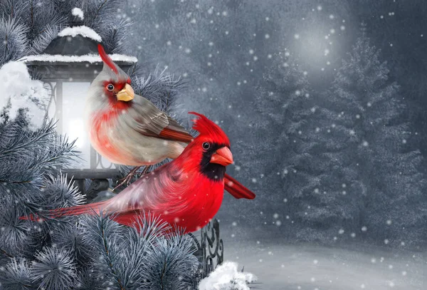 Vánoce Nový Rok Slavnostní Pozadí Dvě Červené Kardinální Ptáci Sedí — Stock fotografie