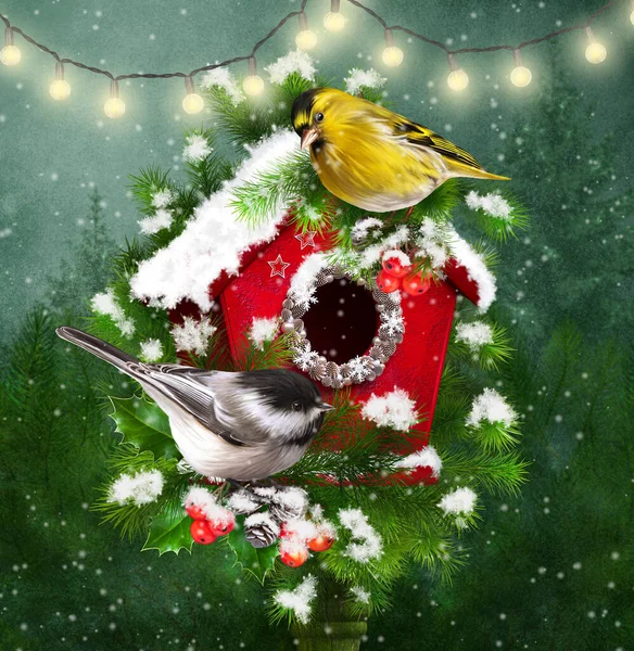 Різдво Новорічні Свята Два Птахи Сидять Біля Пташиного Будинку Ялинові — стокове фото