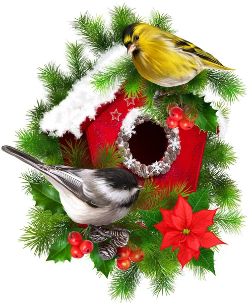 Christmas New Year Holiday Background Two Tit Birds Sit Birdhouse — Fotografia de Stock