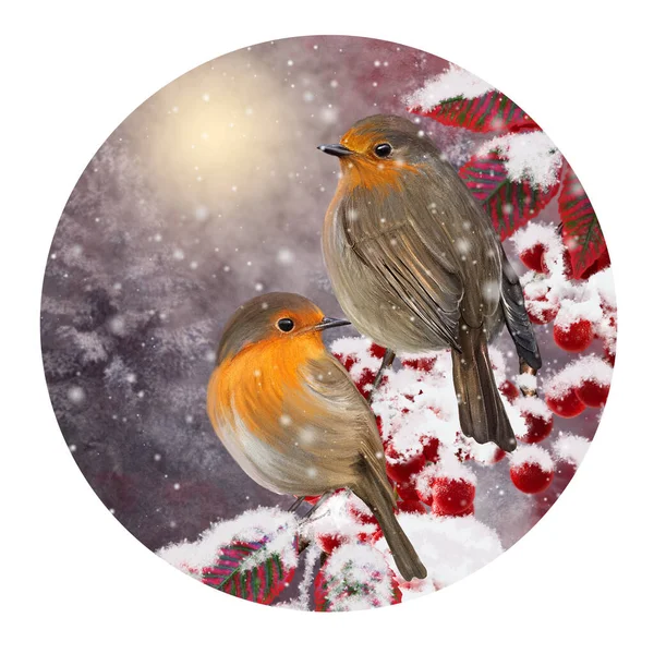 Christmas New Year Winter Holiday Background Two Tit Birds Sit — Foto Stock
