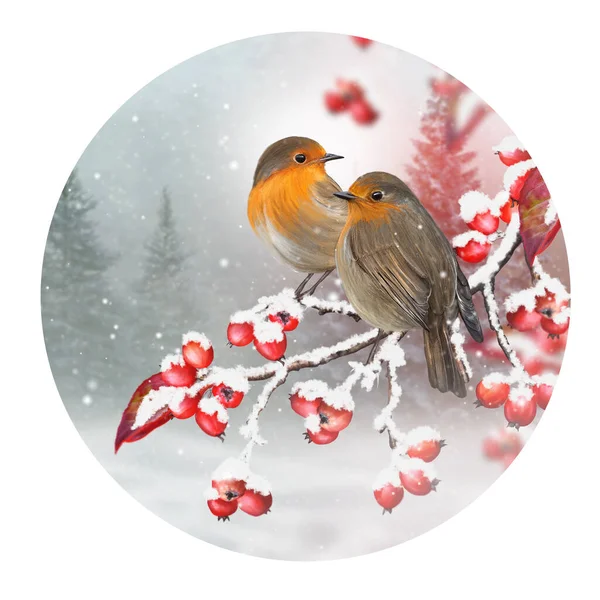 クリスマス 新年の冬の休日の背景 2羽の鳥は赤い果実 雪の滝 雪の森 雪のドリフト 3Dレンダリング ラウンドフォームと木の枝に座っている — ストック写真